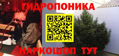 кокс Будённовск