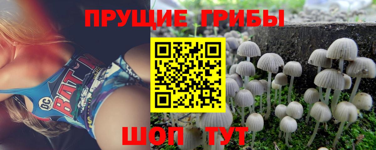 Галлюциногенные грибы Cubensis Электрогорск