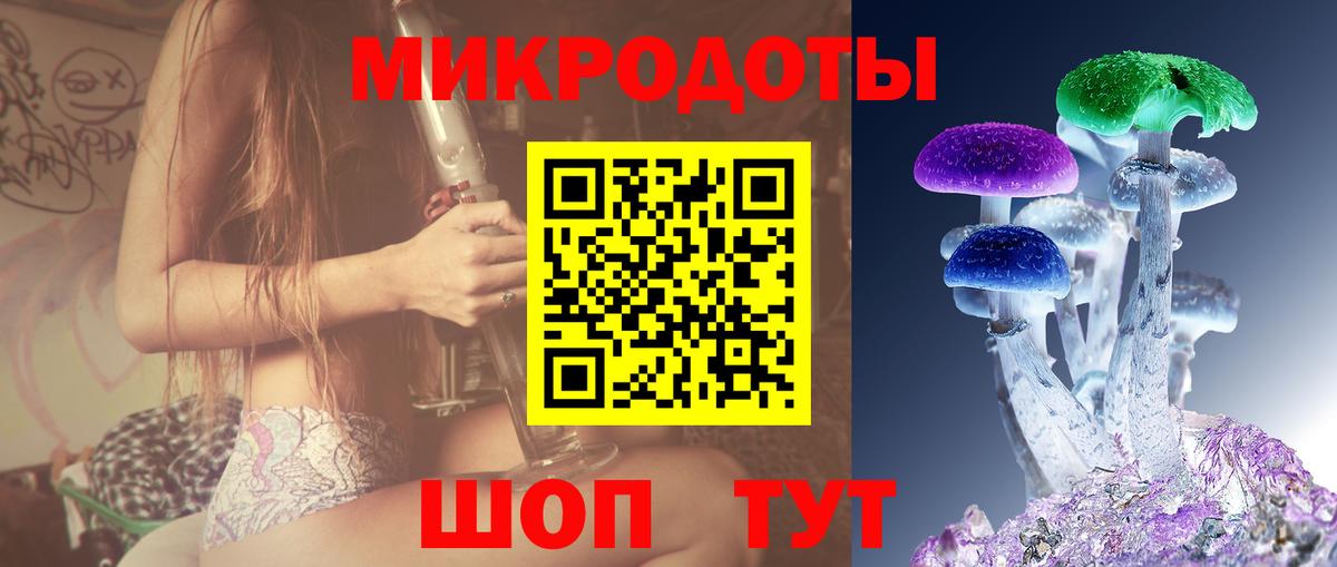 Электрогорск  Галлюциногенные грибы мухоморы  Вход с VPN 