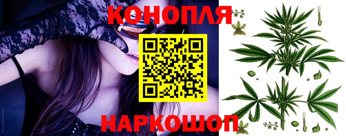 Каннабис сатива Электрогорск